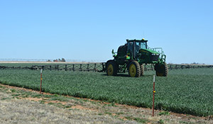 Storing and Handling Pesticides to Protect Groundwater